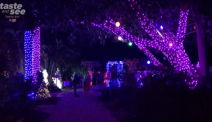 PHOTOS Christmas lights at the Florida Botanical Gardens in Largo